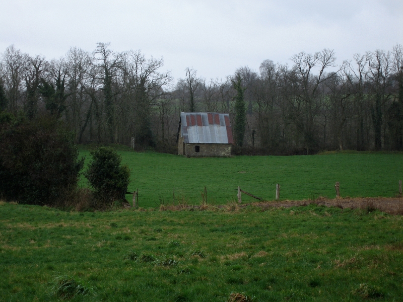 022 20060330 ALIGNY VASSY 10.jpg